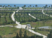 İcarəyə verilir 3 otaqlı 70 m2 köhnə tikili Şah İsmayıl Xətai m.