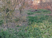 Satılır 20 sot torpaq Əhmədli