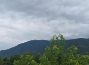 Satılır 10 sot torpaq Quba