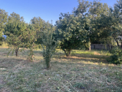 Satılır 10 sot torpaq İsmayıllı