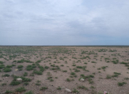 Satılır 700 sot torpaq Qala