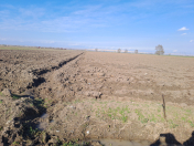 Satılır 220 sot torpaq Samux