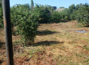 Satılır 12 sot torpaq Xaçmaz