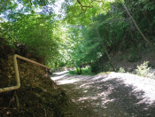 İcarəyə verilir 4 otaqlı 100 m2 bağ evi Şəki