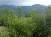 Satılır 8 sot torpaq İsmayıllı