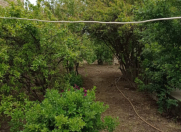 Satılır 7.15 sot torpaq Mehdiabad