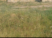 Satılır 4 sot torpaq Gəncə