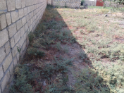 Satılır 1 otaqlı 500 m2 bağ evi Mingəçevir