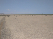 Satılır 2500 sot torpaq Sahil bağı