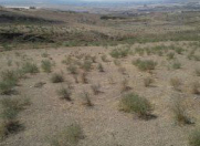 Satılır 13 sot torpaq Mehdiabad