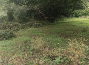 Satılır 12 sot torpaq Qəbələ