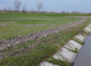 Satılır 100 sot torpaq Xudat