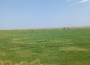 Satılır 10000 sot torpaq Xızı