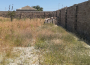 Satılır 5 sot torpaq Zirə