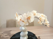 İcarəyə verilir 2 otaqlı 74 m2 yeni tikili Gənclik m.