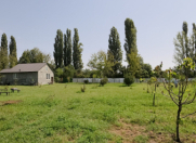 Satılır 185 sot torpaq Zaqatala