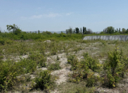 Satılır 7 sot torpaq Ağdaş