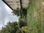 Satılır 30 sot torpaq Qəbələ