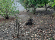 Satılır 2 otaqlı 45 m2 həyət evi Şamaxı