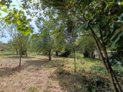 Satılır 20 sot torpaq Qəbələ