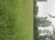 Satılır 110 sot torpaq Zərdab