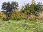 Satılır 13.5 sot torpaq Novxanı