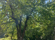 Satılır 3 otaqlı 82 m2 həyət evi Quba