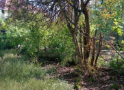 Satılır 3.34 sot torpaq Rəsulzadə