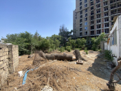 Satılır 9.5 sot torpaq Binəqədi