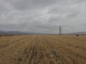 Satılır 1200 sot torpaq İsmayıllı