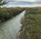 İcarəyə verilir 224 sot torpaq Sabirabad