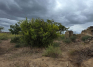 Satılır 24 sot torpaq Maştağa