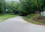 Satılır 200 sot torpaq Quba