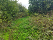 Satılır 15 sot torpaq Masallı