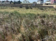 Satılır 62 sot torpaq Ağstafa