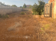 Satılır 6 sot torpaq Buzovna