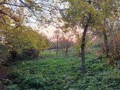 Satılır 13 sot torpaq İsmayıllı