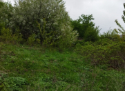 Satılır 12 sot torpaq Quba