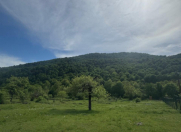 Satılır 8 sot torpaq İsmayıllı