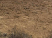 Satılır 6 sot torpaq Badamdar