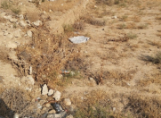 Satılır 3 sot torpaq Binəqədi