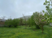 Satılır 7 sot torpaq Qəbələ