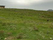 Satılır 100 sot torpaq Masazır