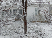 İcarəyə verilir 3 otaqlı 120 m2 həyət evi Qusar