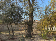 Satılır 34 sot torpaq Novxanı