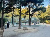 Satılır 3 otaqlı 90 m2 köhnə tikili 8 mkr