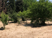 Satılır 5 otaqlı 220 m2 bağ evi Fatmayı