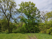 Satılır 27 sot torpaq Qusar