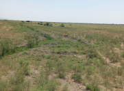 Satılır 1428 sot torpaq Hacıqabul