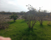 Satılır 12 sot torpaq Görədil